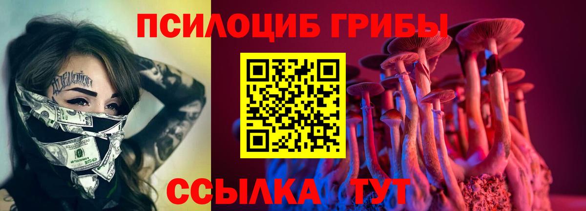 Галлюциногенные грибы Cubensis  Вход с VPN  где купить наркоту  Елабуга 